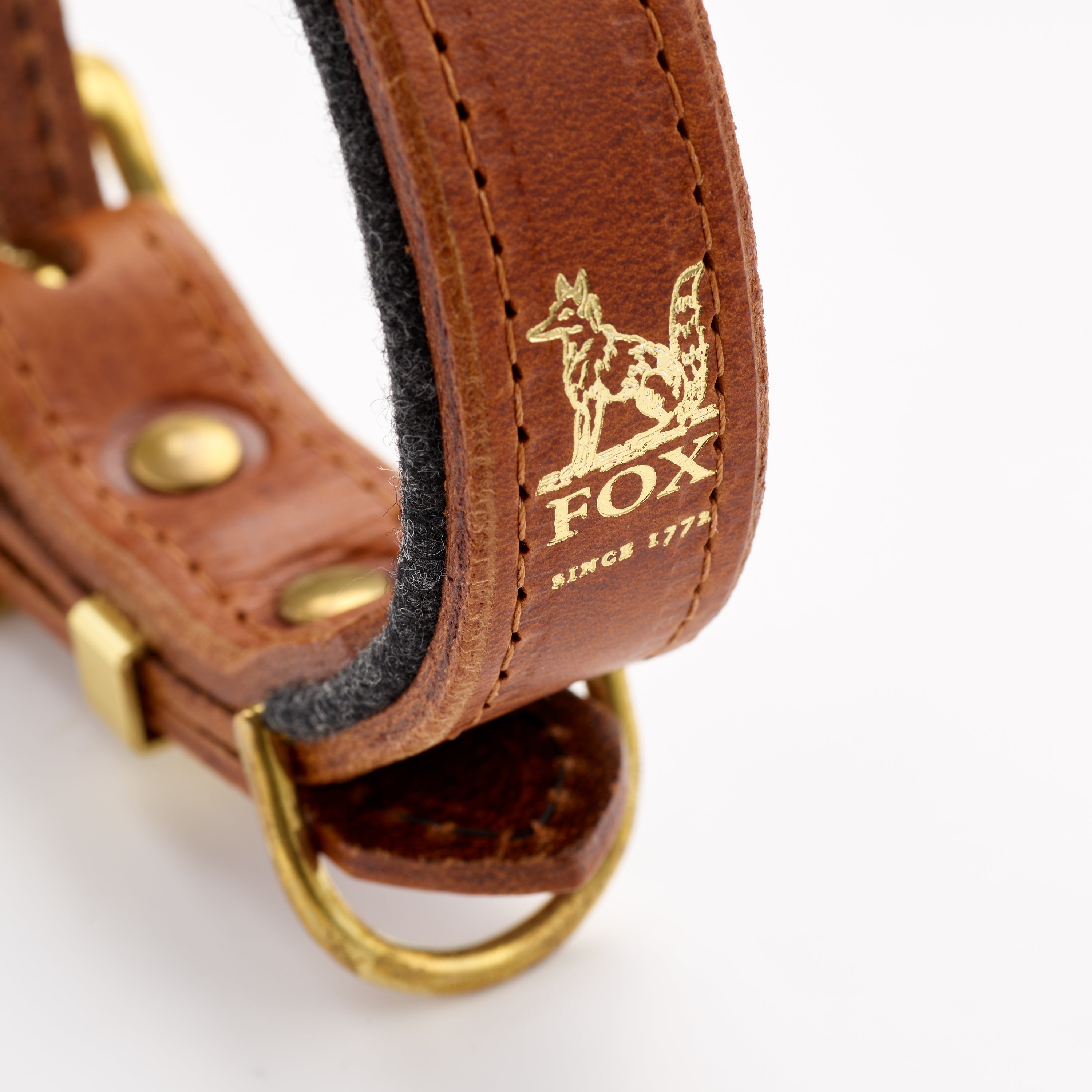 Fox x Storeys & Tails Chestnut Brown Straight Collar