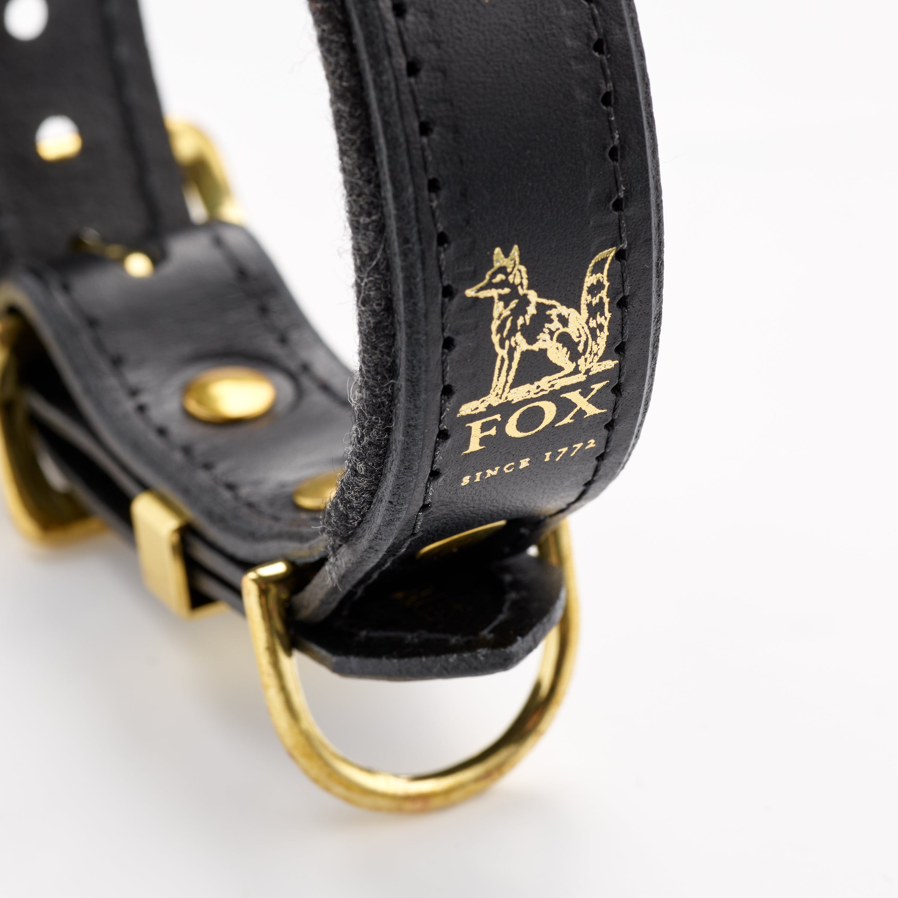 Fox x Storeys & Tails Black Straight Collar