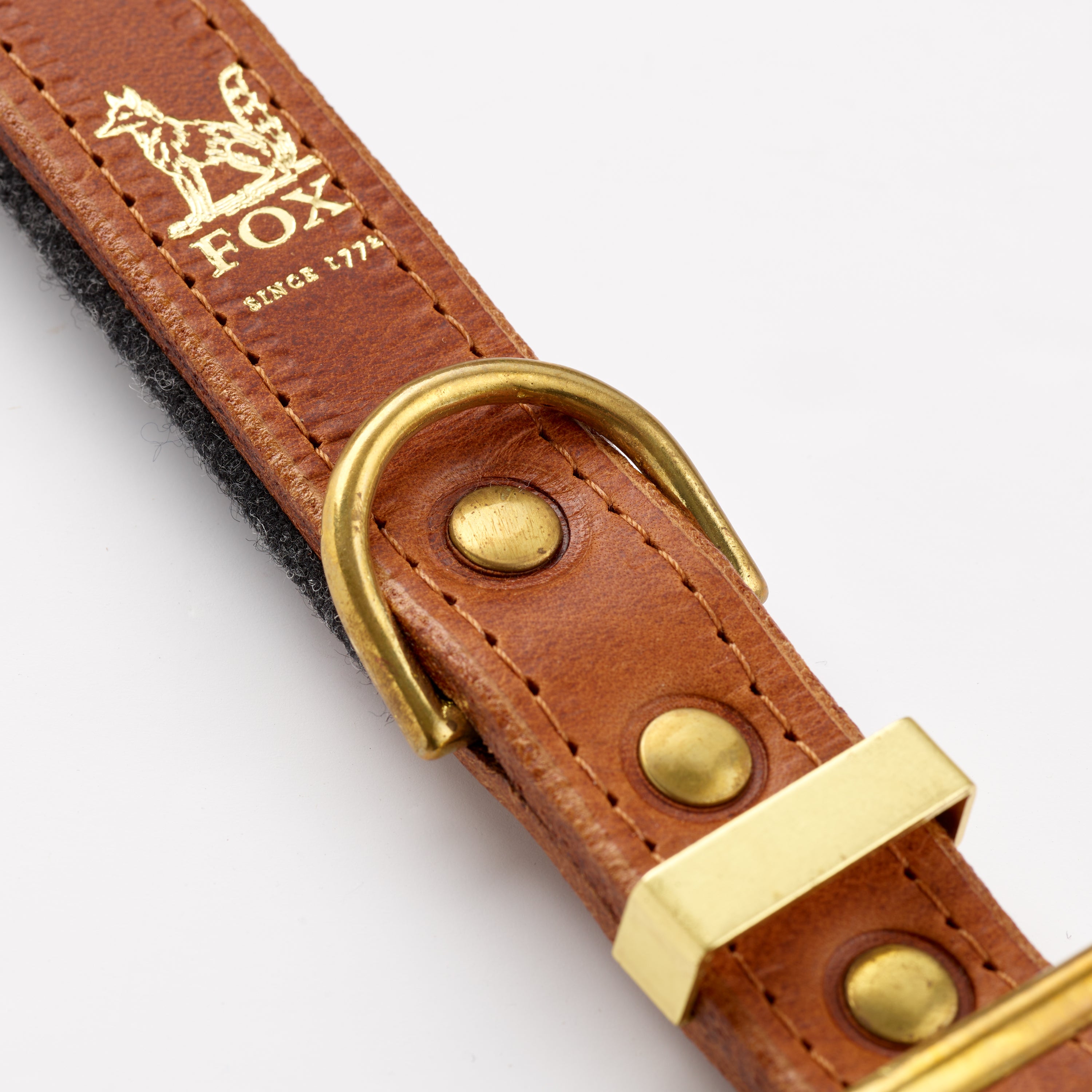 Fox x Storeys & Tails Chestnut Brown Straight Collar